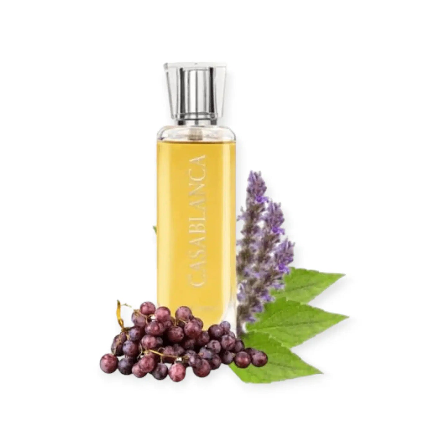 Swiss Arabian Casablanca